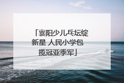 襄阳少儿乓坛绽新星 人民小学包揽冠亚季军