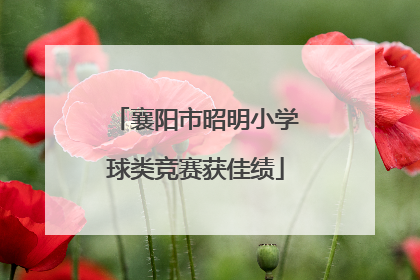 襄阳市昭明小学球类竞赛获佳绩
