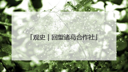 观史｜回望诸葛合作社