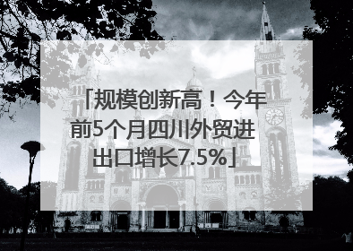规模创新高！今年前5个月四川外贸进出口增长7.5%
