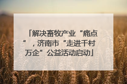 解决畜牧产业“痛点”，济南市“走进千村万企”公益活动启动