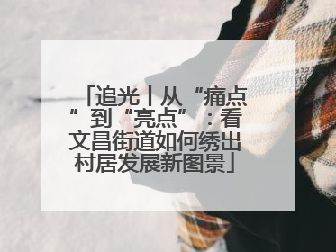 追光丨从“痛点”到“亮点”：看文昌街道如何绣出村居发展新图景