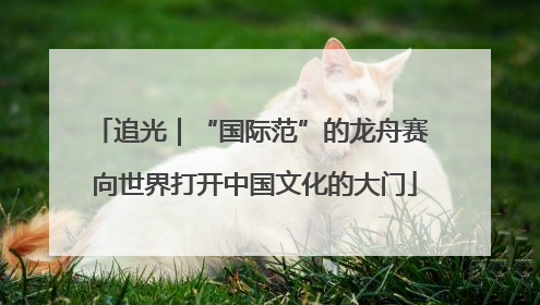 追光｜“国际范”的龙舟赛 向世界打开中国文化的大门