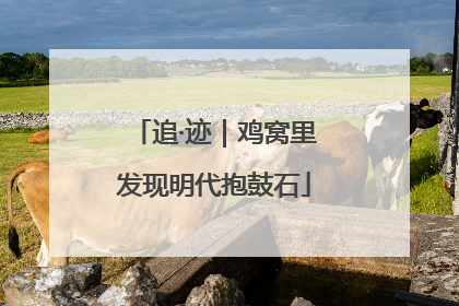追·迹｜鸡窝里发现明代抱鼓石