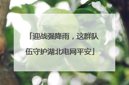 迎战强降雨，这群队伍守护湖北电网平安