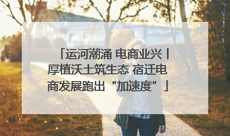 运河潮涌 电商业兴丨厚植沃土筑生态 宿迁电商发展跑出“加速度”