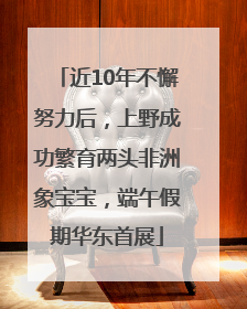 近10年不懈努力后，上野成功繁育两头非洲象宝宝，端午假期华东首展