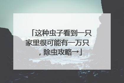 这种虫子看到一只家里很可能有一万只，除虫攻略→
