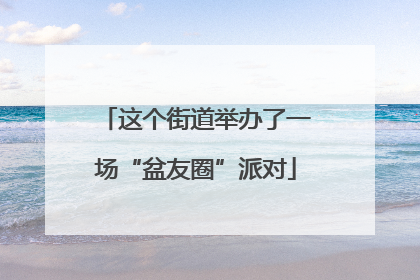 这个街道举办了一场“盆友圈”派对