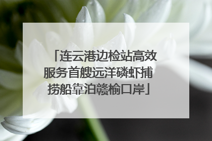 连云港边检站高效服务首艘远洋磷虾捕捞船靠泊赣榆口岸