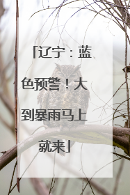 辽宁：蓝色预警！大到暴雨马上就来