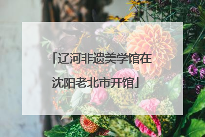 辽河非遗美学馆在沈阳老北市开馆