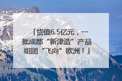 货值6.5亿元，一批成都“新津造”产品组团“飞向”欧洲！