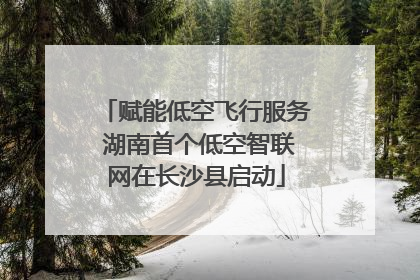 赋能低空飞行服务 湖南首个低空智联网在长沙县启动