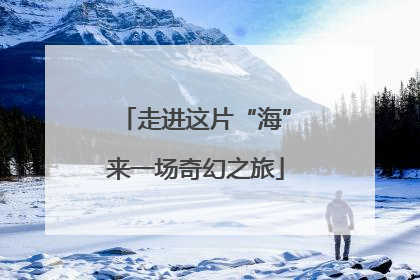 走进这片“海”来一场奇幻之旅