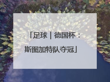 足球｜德国杯：斯图加特队夺冠