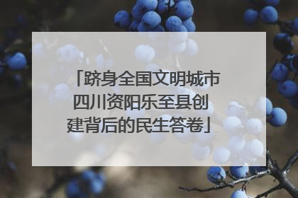 跻身全国文明城市 四川资阳乐至县创建背后的民生答卷