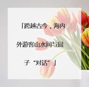 跨越古今，海内外游客山水间与屈子“对话”