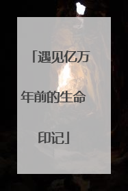遇见亿万年前的生命印记