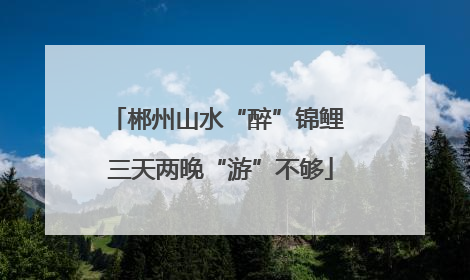 郴州山水“醉”锦鲤 三天两晚“游”不够