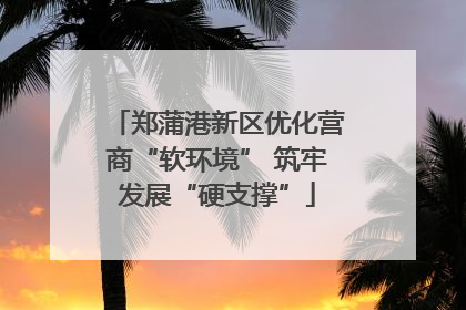 郑蒲港新区优化营商“软环境” 筑牢发展“硬支撑”