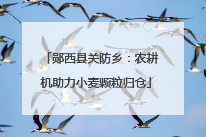 郧西县关防乡：农耕机助力小麦颗粒归仓