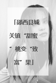 郧西县城关镇“甜蜜”桃变“致富”果