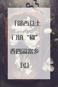 郧西县土门镇“椒”香四溢富乡民
