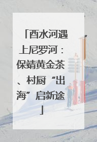 酉水河遇上尼罗河：保靖黄金茶、村厨“出海”启新途