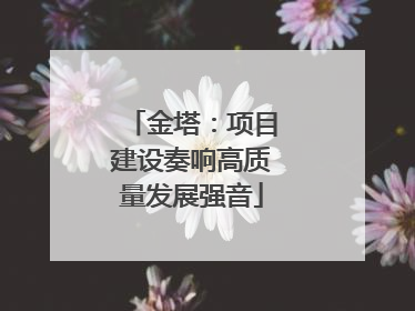 金塔：项目建设奏响高质量发展强音