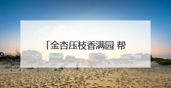 金杏压枝香满园 帮扶结出“幸福果”
