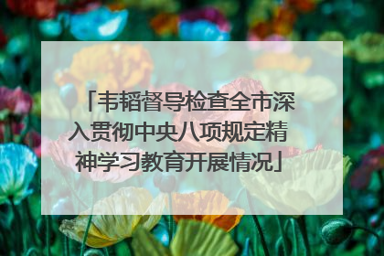 韦韬督导检查全市深入贯彻中央八项规定精神学习教育开展情况