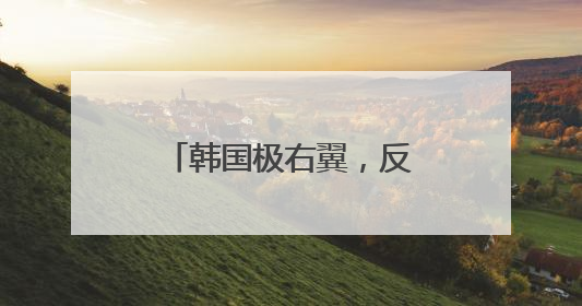 韩国极右翼，反华闹剧该收场了
