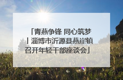 青燕争锋 同心筑梦丨淄博市沂源县燕崖镇召开年轻干部座谈会