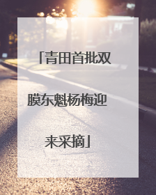 青田首批双膜东魁杨梅迎来采摘