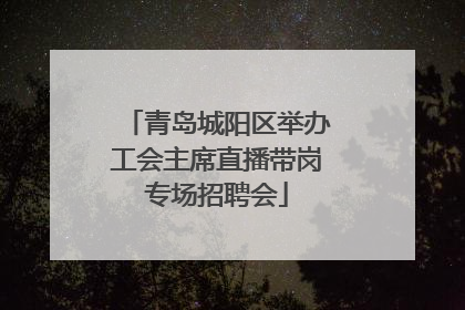 青岛城阳区举办工会主席直播带岗专场招聘会
