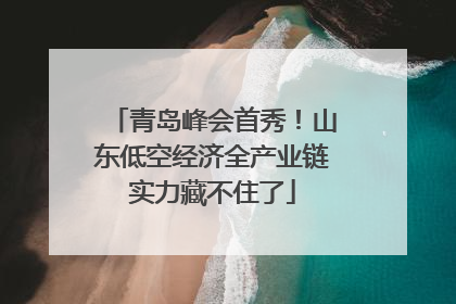 青岛峰会首秀！山东低空经济全产业链实力藏不住了