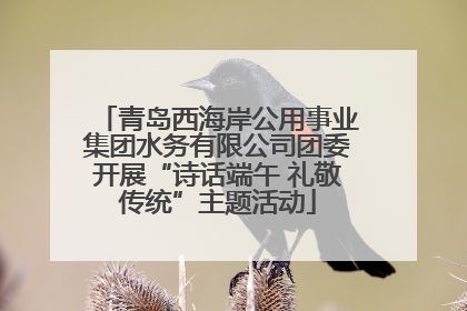 青岛西海岸公用事业集团水务有限公司团委开展“诗话端午 礼敬传统”主题活动