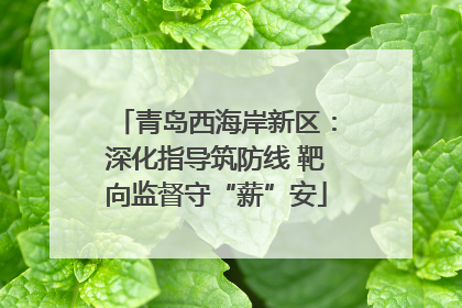 青岛西海岸新区：深化指导筑防线 靶向监督守“薪”安