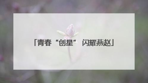 青春“创星” 闪耀燕赵