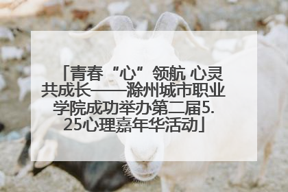 青春“心”领航 心灵共成长——滁州城市职业学院成功举办第二届5.25心理嘉年华活动