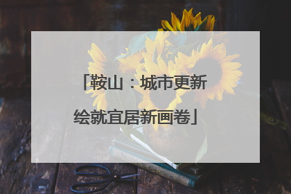 鞍山：城市更新绘就宜居新画卷