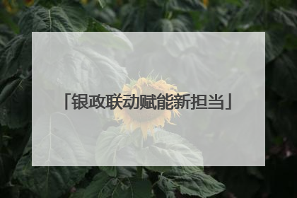 银政联动赋能新担当