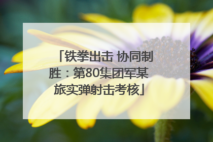 铁拳出击 协同制胜：第80集团军某旅实弹射击考核