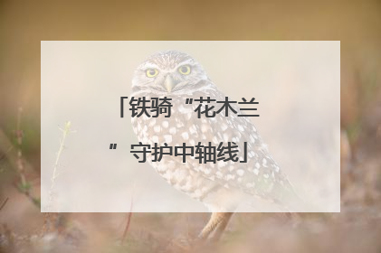 铁骑“花木兰”守护中轴线