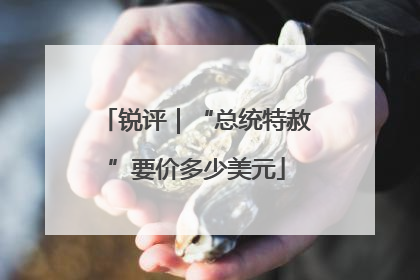 锐评｜“总统特赦”要价多少美元