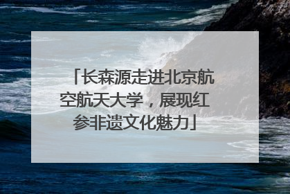 长森源走进北京航空航天大学，展现红参非遗文化魅力