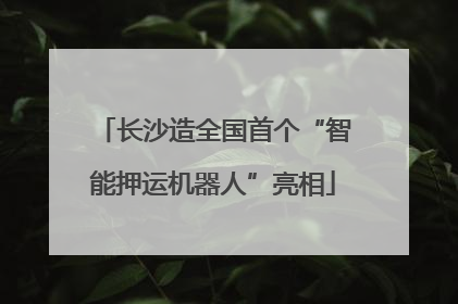 长沙造全国首个“智能押运机器人”亮相