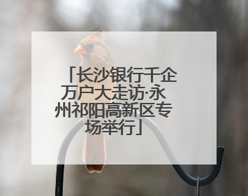 长沙银行千企万户大走访·永州祁阳高新区专场举行
