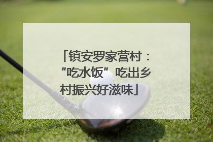 镇安罗家营村：“吃水饭”吃出乡村振兴好滋味